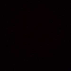 Meet your Posher, Dnaysha